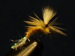Spotlight Emerger- March Brown