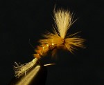 Spotlight Emerger- Light Cahill