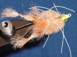 Enrico's Spawning Crab
