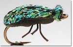 Flash Beetle