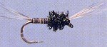 Mosquito Larva