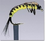 Polish Nymph