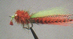 Mud Minnow- Bud Rowland's