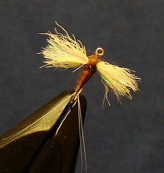 Snowshoe Spinner