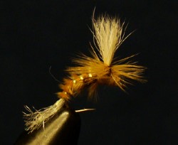 Spotlight Emerger- Light Cahill