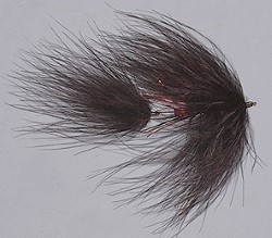 Galloup's TA Leech
