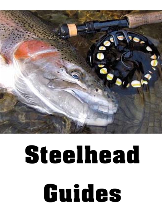 Fly Fishing Guides for Lake Erie Steelhead- Steelhead Alley