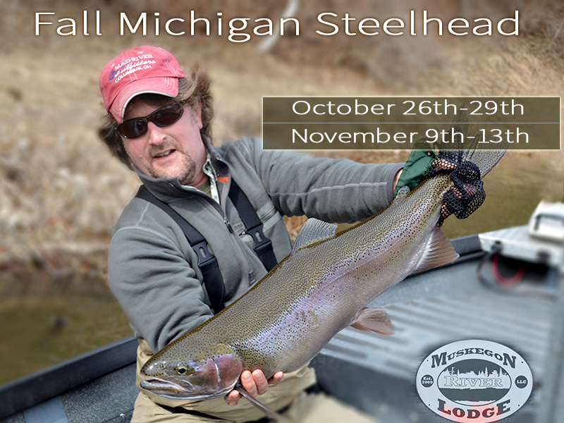 Fall Steelhead- Muskegon River