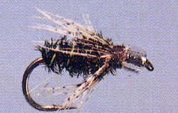 Air Head Soft Hackle- Peacock