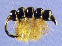 Bead Back Scud