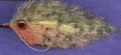 Enrico's Bluegill