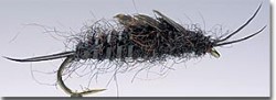 Kaufmann Stonefly