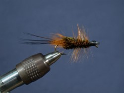 McCabe's Crayfish