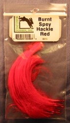 Burnt Spey Hackle