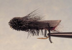 Dave's Cricket