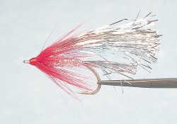 Flash Fly