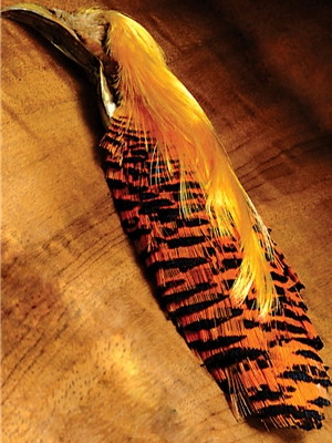 golden pheasant head Feathers and Marabou