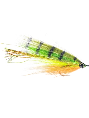 Flash Dance Fly- firetiger flies for saltwater, pike and stripers