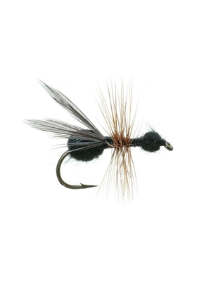 flying ant dry fly Terrestrials - Ants