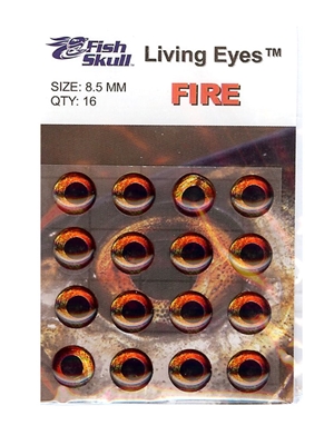 fish skull Living Eyes- Fire Blane Chocklett's Fly Tying Materials at Mad River Outfitters