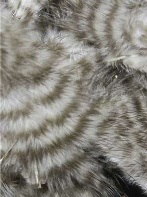Grizzly Marabou here at Mad River Outfitters! Feathers and Marabou
