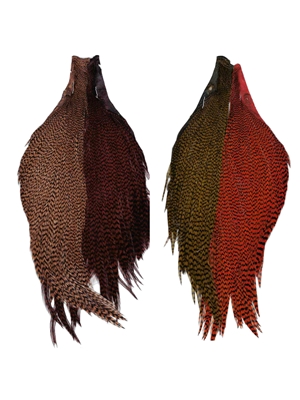 Hareline Tyers 4 Color Trout Streamer Dyed Grizzly Starter Cape Set at Mad River Outfitters! Feathers and Marabou