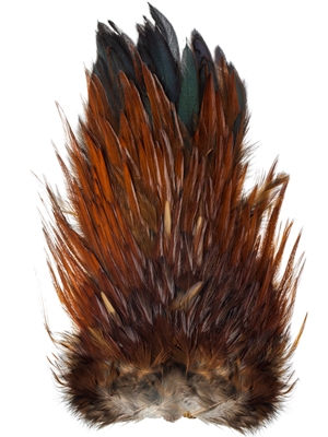 Wapsi's Indian Rooster Saddle Patch at Mad River Outfitters Feathers and Marabou