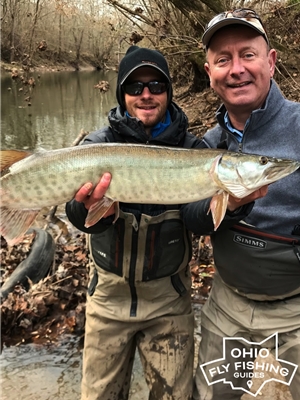 Mad River Outfitters is proud to offer excellent guided Muskellunge Trips all throughout Ohio! Ohio Fly Fishing Guides offers a premier fly fishing guide service for Ohio and Lake Erie!