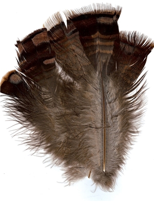 ozark iridescent turkey tail feathers Wapsi Inc