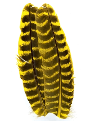 Ozark mottled turkey quill feathers Wapsi Inc