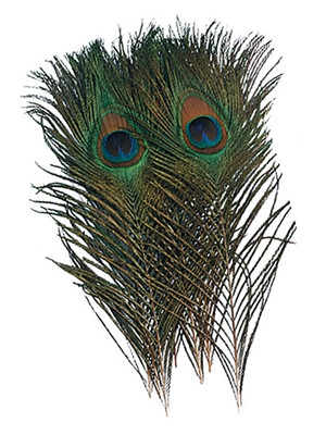 peacock eyed tails Feathers and Marabou