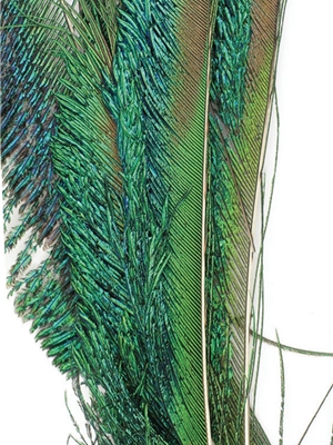 peacock swords Feathers and Marabou