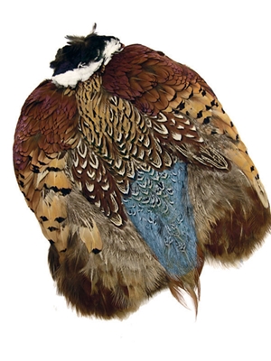 ringneck pheasant skin Feathers and Marabou