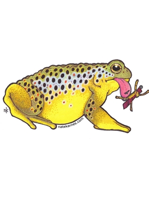 Nate Karnes Toad Brown Trout Decal Nate Karnes Art- Pig Fish Stickers