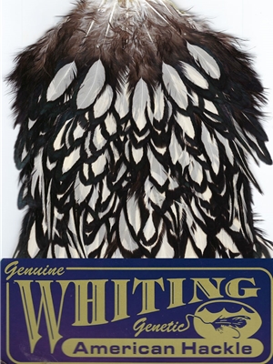 Whiting Farms American Hen Saddles- black laced white Feathers and Marabou