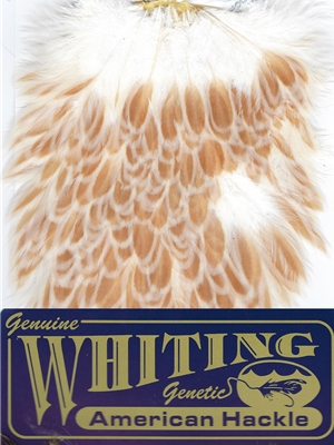 Whiting Farms American Hen Saddles- buff laced ginger Blane Chocklett's Fly Tying Materials at Mad River Outfitters