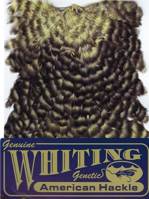 Whiting Farms American Hen Saddles- grizzly Whiting Farms Inc.