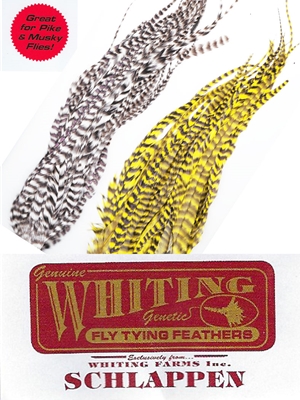 Whiting Farms 10-14" Schlappen Bundles Feathers and Marabou