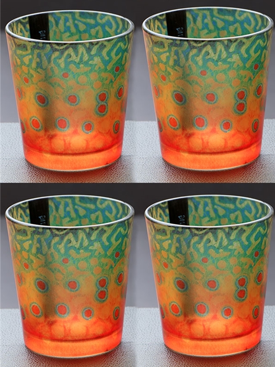 Derek DeYoung Rocks Glasses set of 4 Brook Trout