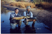 Lake Ontario Fly Fishing, Lake Ontario Brown Trout, Oak Orchard, New York Brown Trout Fishing