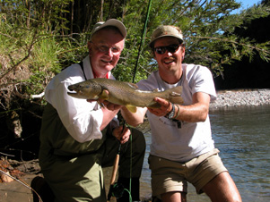 1st Brown on the Paloma!