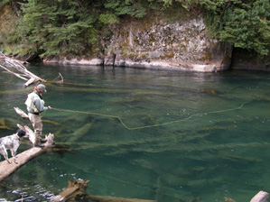 Unbelievable waters