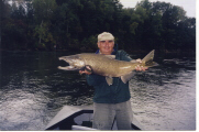 Michigan Salmon Fishing, Salmon Fly Fishing, Fly Fishing Trips, Fly Fishing Vacations, Schmidt Outfitters, Michigan Steelhead, Steelhead, Salmon