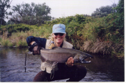 Michigan Salmon Fishing, Salmon Fly Fishing, Fly Fishing Trips, Fly Fishing Vacations, Schmidt Outfitters, Michigan Steelhead, Steelhead, Salmon