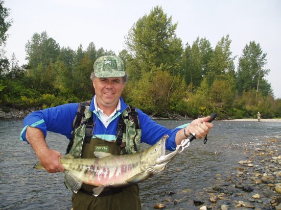 Chum Salmon- Mad River Outfitters and the Naknek River Camp