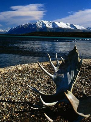 Fly Fish Alaska with Mad River Outfitters