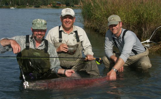 King Salmon on the Naknek River Alaska