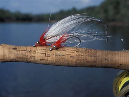 What a thrill on a fly rod! Fly Fishing for Peacock Bass in the Amazon!!!!