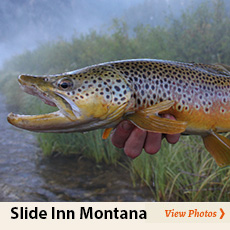 Slide Inn Montana Photos