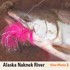 fly fishing Alaska photos